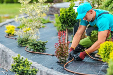 clints-garden-pool.services